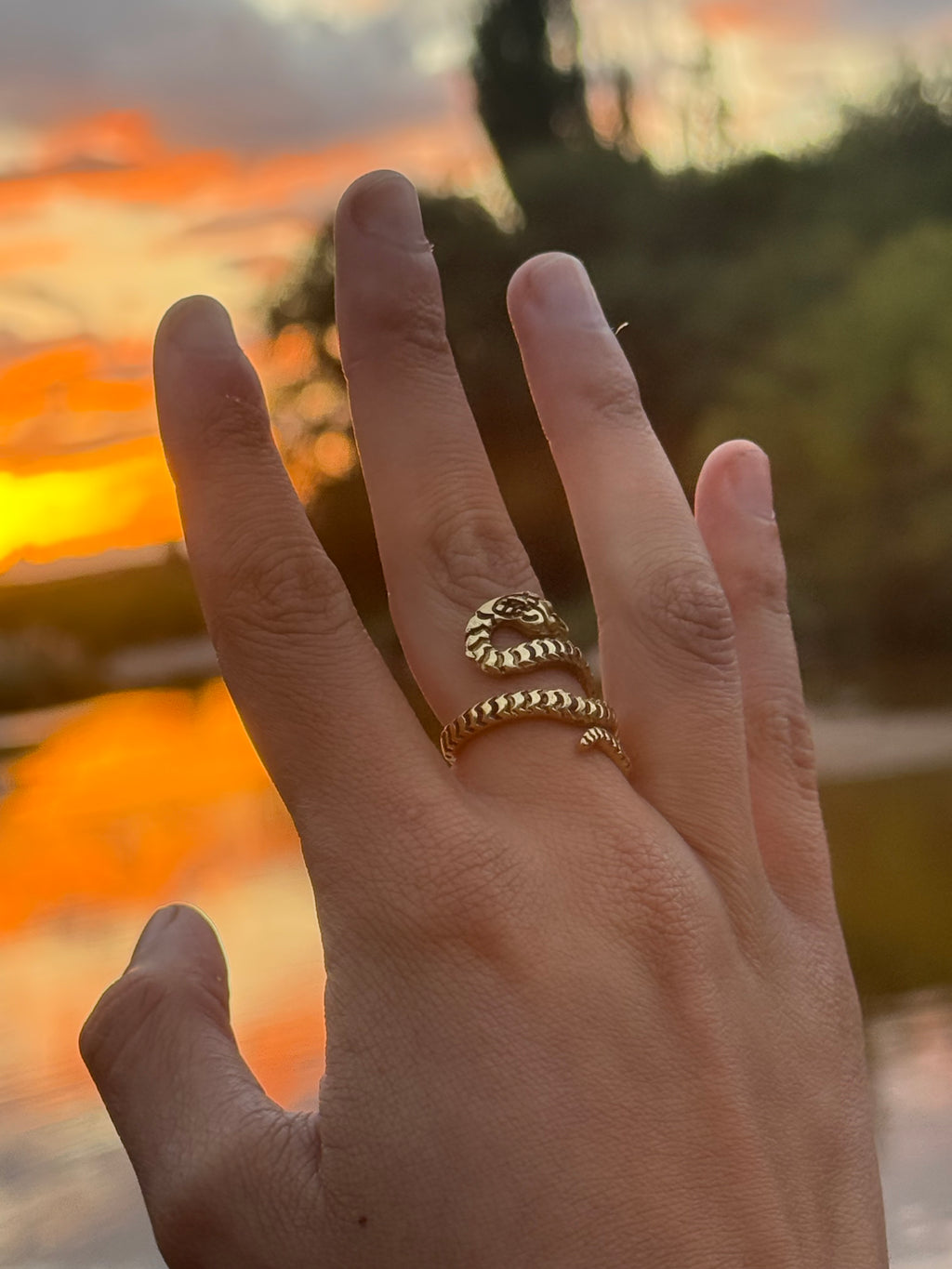 Guardiana del Atardecer ~ Anillo Serpiente Envolvente